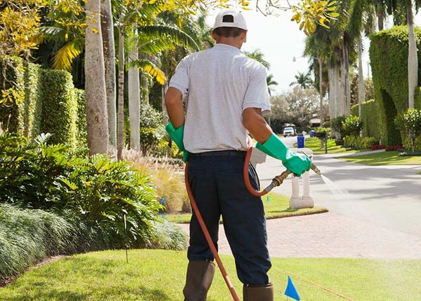 About Upsala MN Pest Control